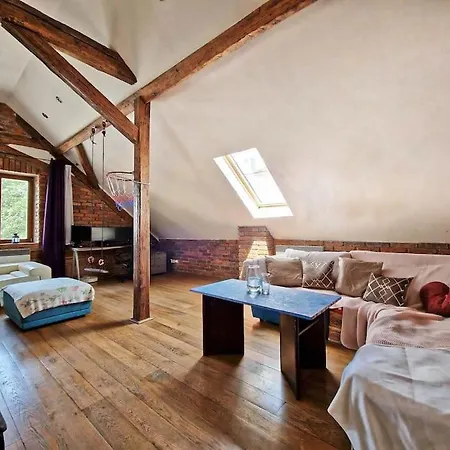 Cozy Private Flat In Center * Ostrava